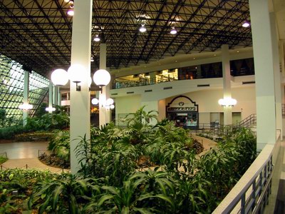 Movies at Prudential Town Center - Plants (newer photo)